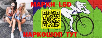 индика Обь
