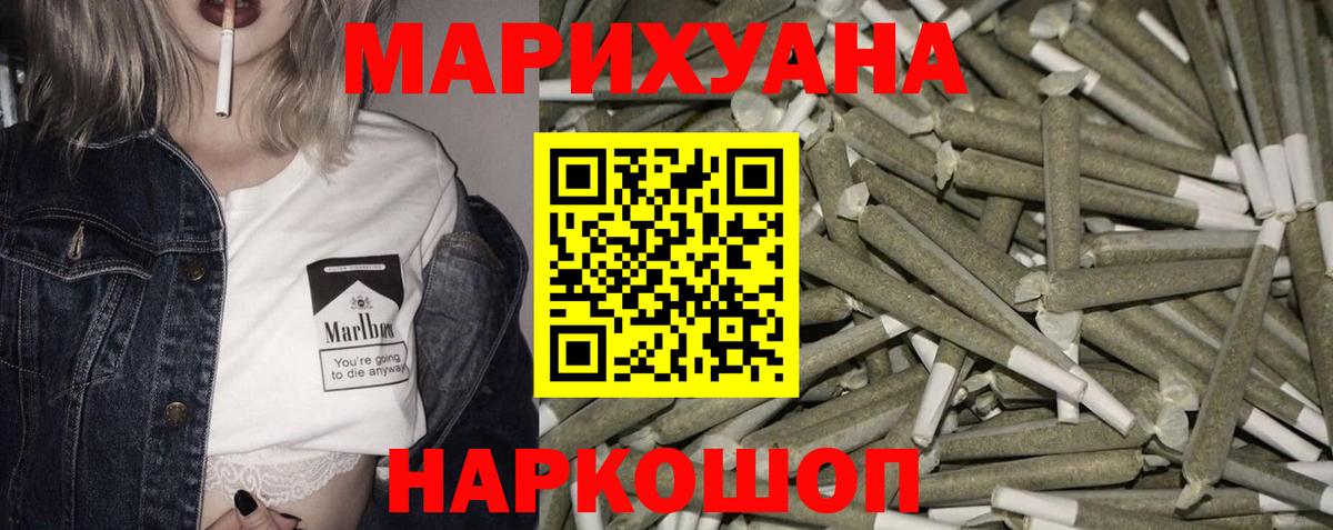 Канабис конопля Сокол